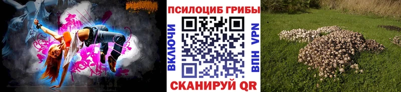 Купить  Старица  Псилоцибиновые грибы Magic Shrooms 